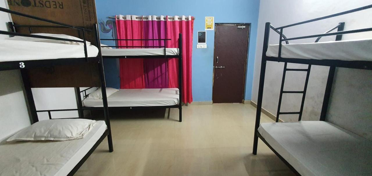Bed in 6-Bed Mixed Dormitory Room